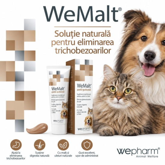 WeMalt – Pastă Palatabilă pentru Pisici, 50 g – WePharm